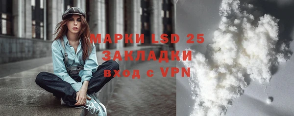 СК Сосновый Бор