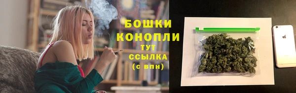 СК Сосновый Бор