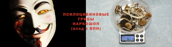 spice Белокуриха