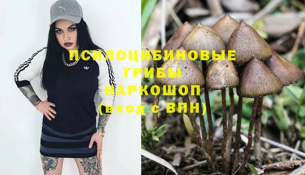 spice Белокуриха
