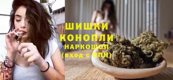 spice Белокуриха