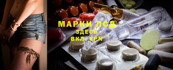 spice Белокуриха